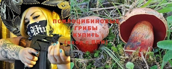 дурь Аркадак