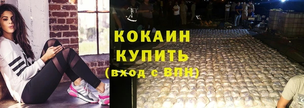 ешки Осинники