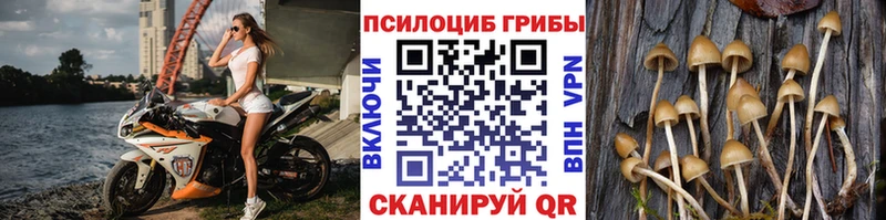 Псилоцибиновые грибы ЛСД где можно купить наркотик Чернушка
