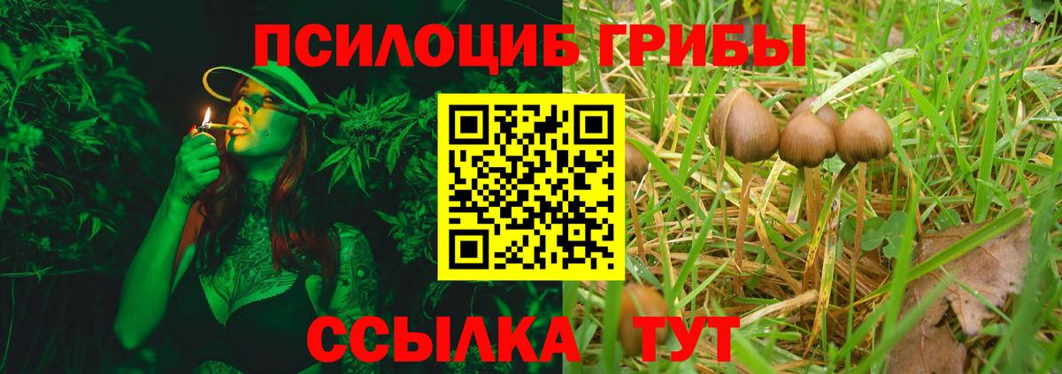 где купить наркоту  Псилоцибиновые грибы MAGIC MUSHROOMS  Псилоцибиновые грибы ЛСД  Вход с VPN  Чернушка 