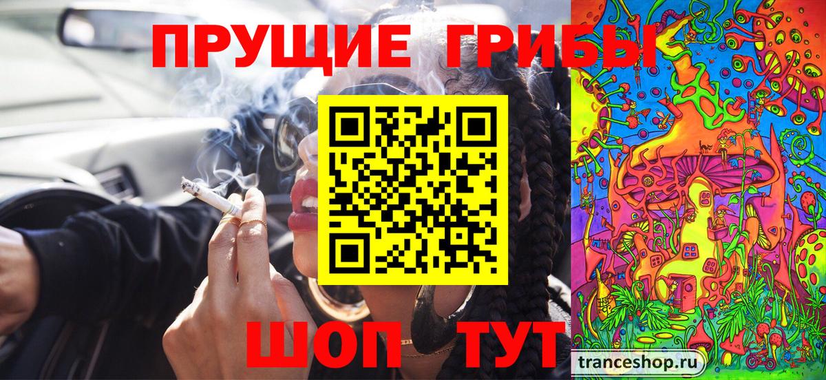 Псилоцибиновые грибы мицелий Чернушка