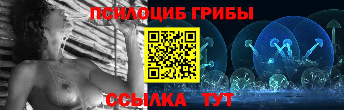 Галлюциногенные грибы GOLDEN TEACHER Чернушка