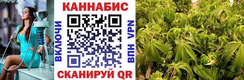 Бошки Шишки сатива  купить наркоту  блэк спрут зеркало  Чернушка 